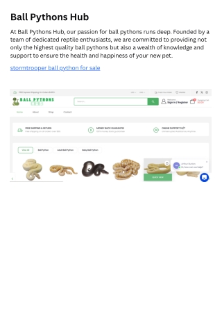 Ball Pythons Hub