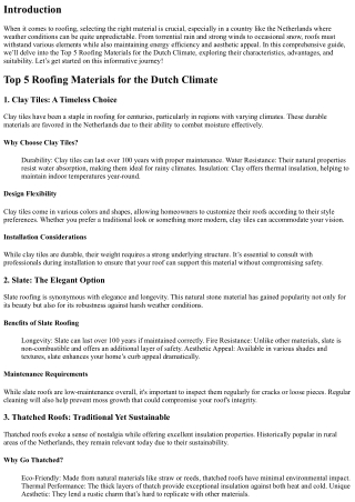 Top 5 Roofing Materials for the Dutch Climate