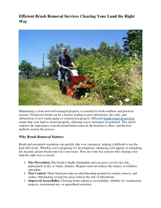 Efficient Brush Removal Services Clearing Your Land the Right Way