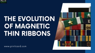 The Evolution of Magnetic Thin Ribbons