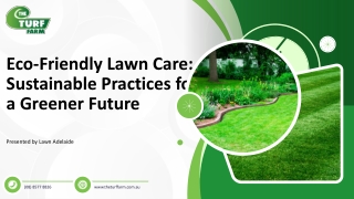 Lawn Adelaide--The Turf Farm