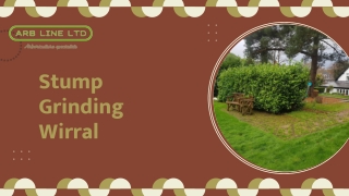 Stump Grinding Wirral