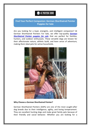 German Shorthaired Pointer Puppies for Sale Near You