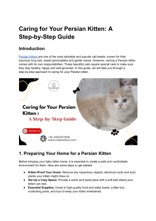 Caring for Your Persian Kitten_ A Step-by-Step Guide