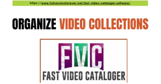 Best Software to Organize Video Collections Efficiently