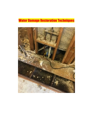 Water Damage Restoration Techniques