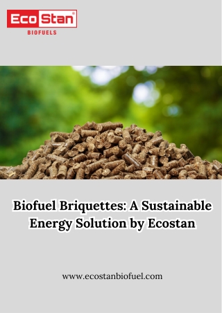 Biofuel Briquettes A Sustainable Energy Solution by Ecostan
