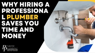 Why Hiring a Professional Plumber Saves You Time and Money