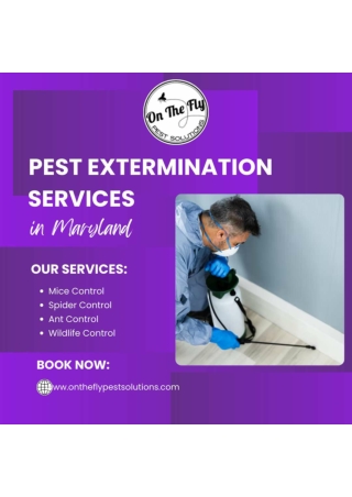 Fox Control Services At On the Fly Pest Solutions in Hanover, Maryland, PA.