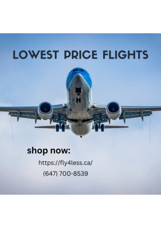 Lowest price flights