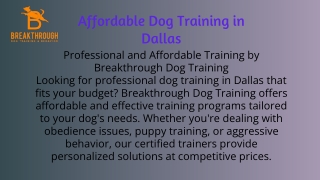 Affordable Training by Breakthrough Dog Training