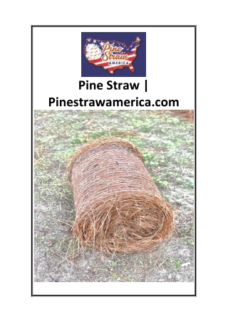 Pine Straw  Pinestrawamerica.com