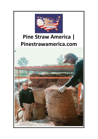 Pine Straw America  Pinestrawamerica.com