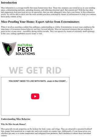 “Mice-Proofing Your Home: Expert Advice from Exterminators”