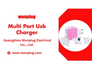 Multi Port Usb Charger - Wonplug.com