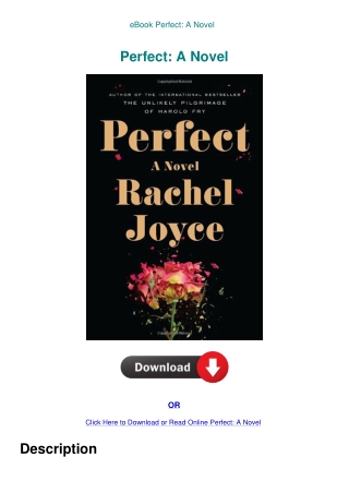 eBook Perfect A Novel