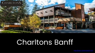 Find Your Perfect Hotel in Banff – Comfort, Views, and Adventure Await