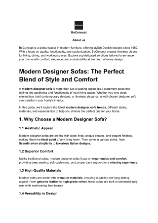 Modern Designer Sofas (1)