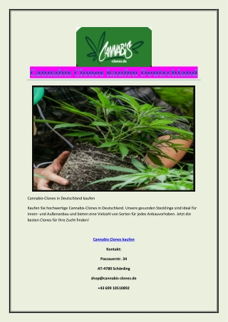 Cannabis Clones kaufen Deutschland