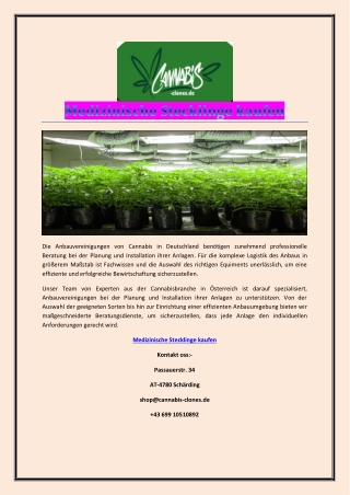 Medizinische Stecklinge kaufen