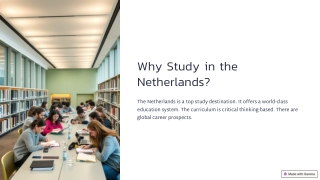 Why Study in the Netherlands?
