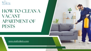 How To Clean A Vacant Apartment Of Pests