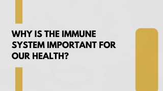 Why is the Immune System Important for Our Health