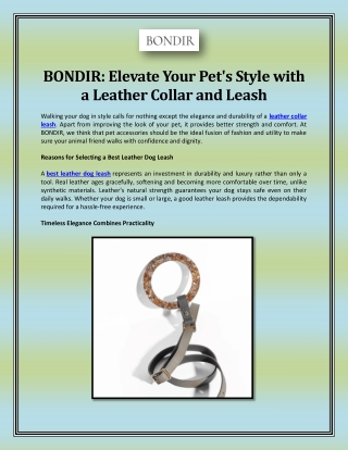 BONDIR: Elevate Your Pet's Style with a Leather Collar and Leash