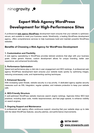 Expert Web Agency WordPress Development for High-Performance Sites
