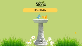 Bird Bath