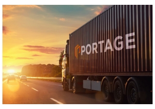 Doodlo Designs Studio |portea Branding