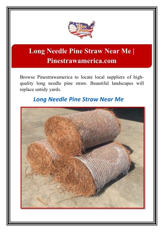 Long Needle Pine Straw Near Me | Pinestrawamerica.com