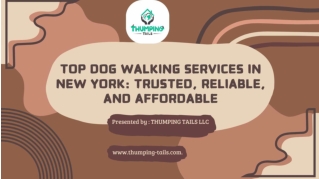 Top Dog Walking Services in New York_ Trusted, Reliable, and Affordable