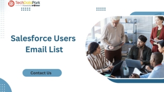 Salesforce Users Email List