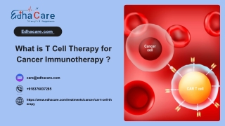 What is T Cell Therapy for Cancer Immunotherapy ?