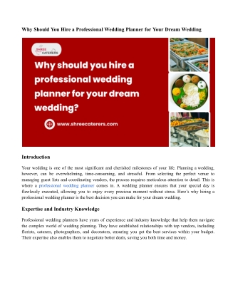 Why Should You Hire a Professional Wedding Planner for Your Dream Wedding