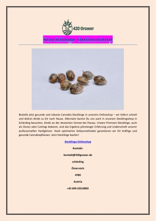 Stecklinge Onlineshop