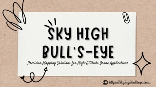 Sky High Bull's Eye (feb)