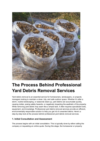 The Process Behind Professional Yard Debris Removal Services