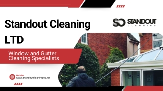 Why Professional Window Cleaning is Essential for Sparkling Views in Hampshire?