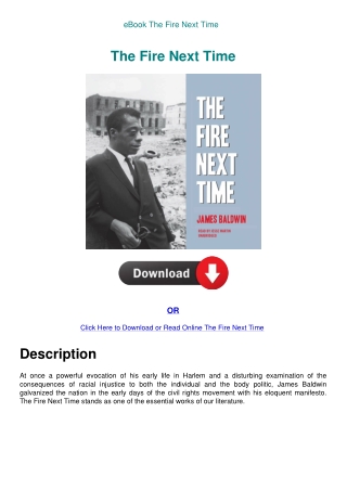 eBook The Fire Next Time