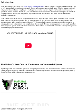 The Role of a Pest Control Contractor in Commercial Spaces