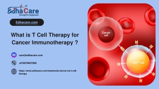 What is T Cell Therapy for Cancer Immunotherapy _