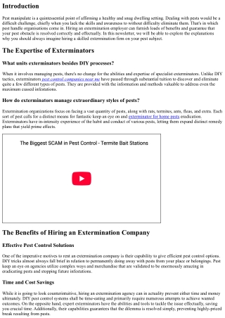 Why You Should Hire an Extermination Company for Your Pest Issue
