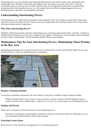 Maintenance Tips for Your Interlocking Pavers: Keeping Them Pristine in the Bay