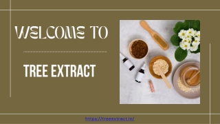 Nature’s Touch: Top Ayurvedic Skincare Solutions for All Skin Types