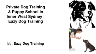 Private Dog Training Inner West Sydney