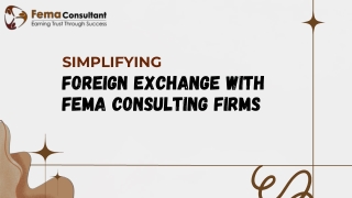 Simplifying Foreign Exchange with FEMA Consulting Firms