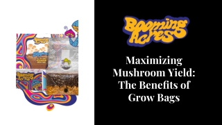 Maximizing Mushroom Yield: The Beneﬁts of Grow Bags