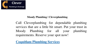Plumber New Westminster  Cleverplumbing